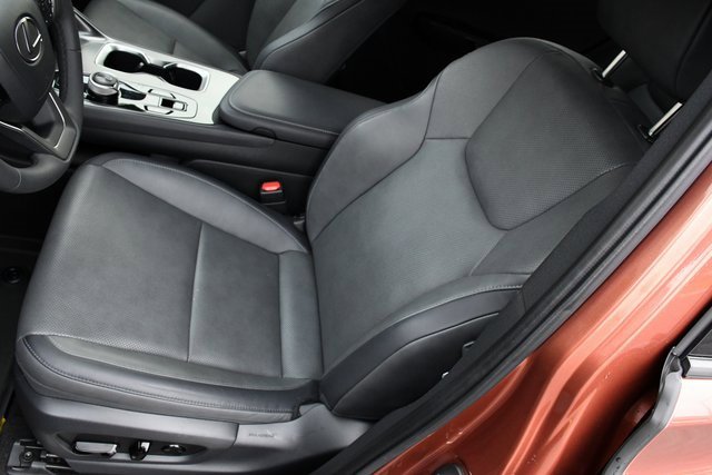 Used 2024 Lexus RZ 300e Premium image 10