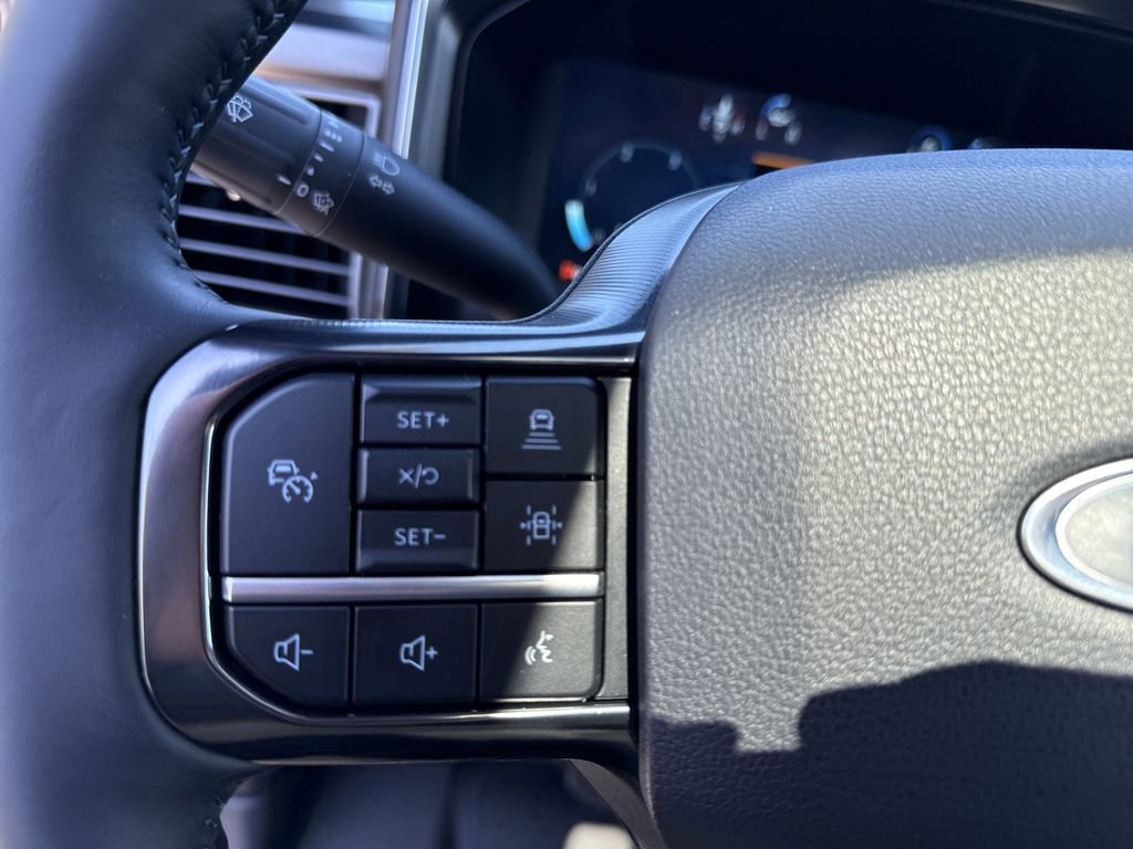Used 2025 Ford F250 Platinum image 24