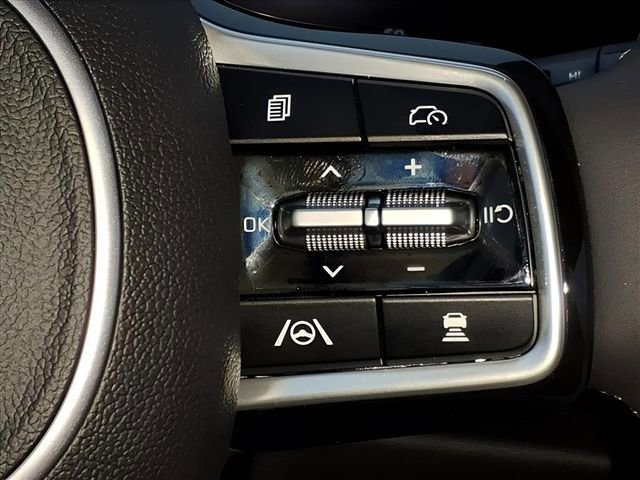 Used 2025 Kia Carnival SX Prestige image 30