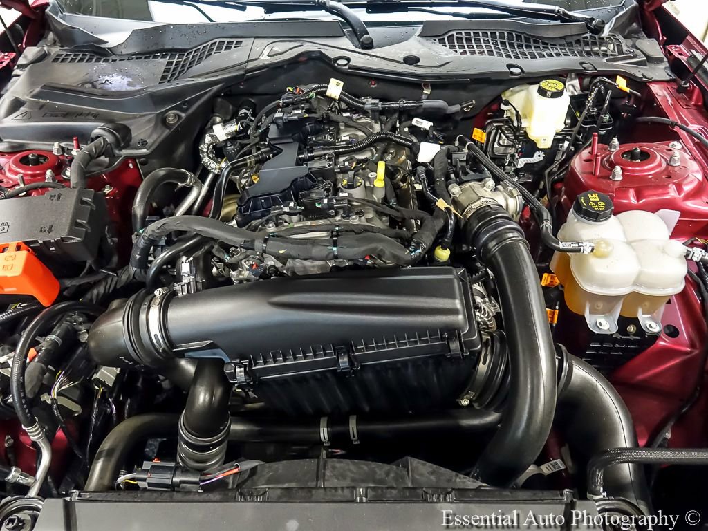 Used 2025 Ford Mustang Premium w/ Mustang Nite Pony Package RWD image 24