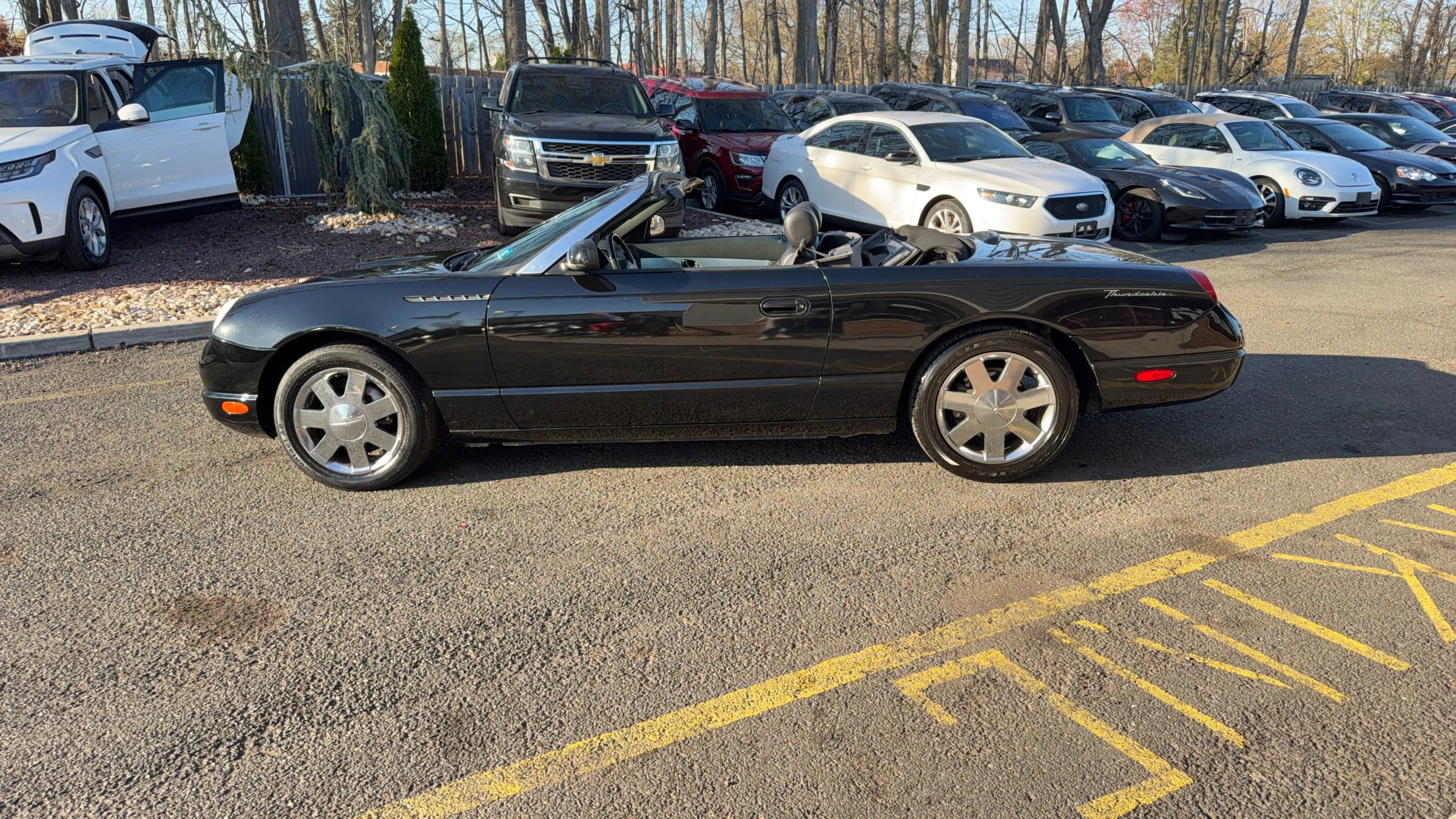 Used 2002 Ford Thunderbird image 40