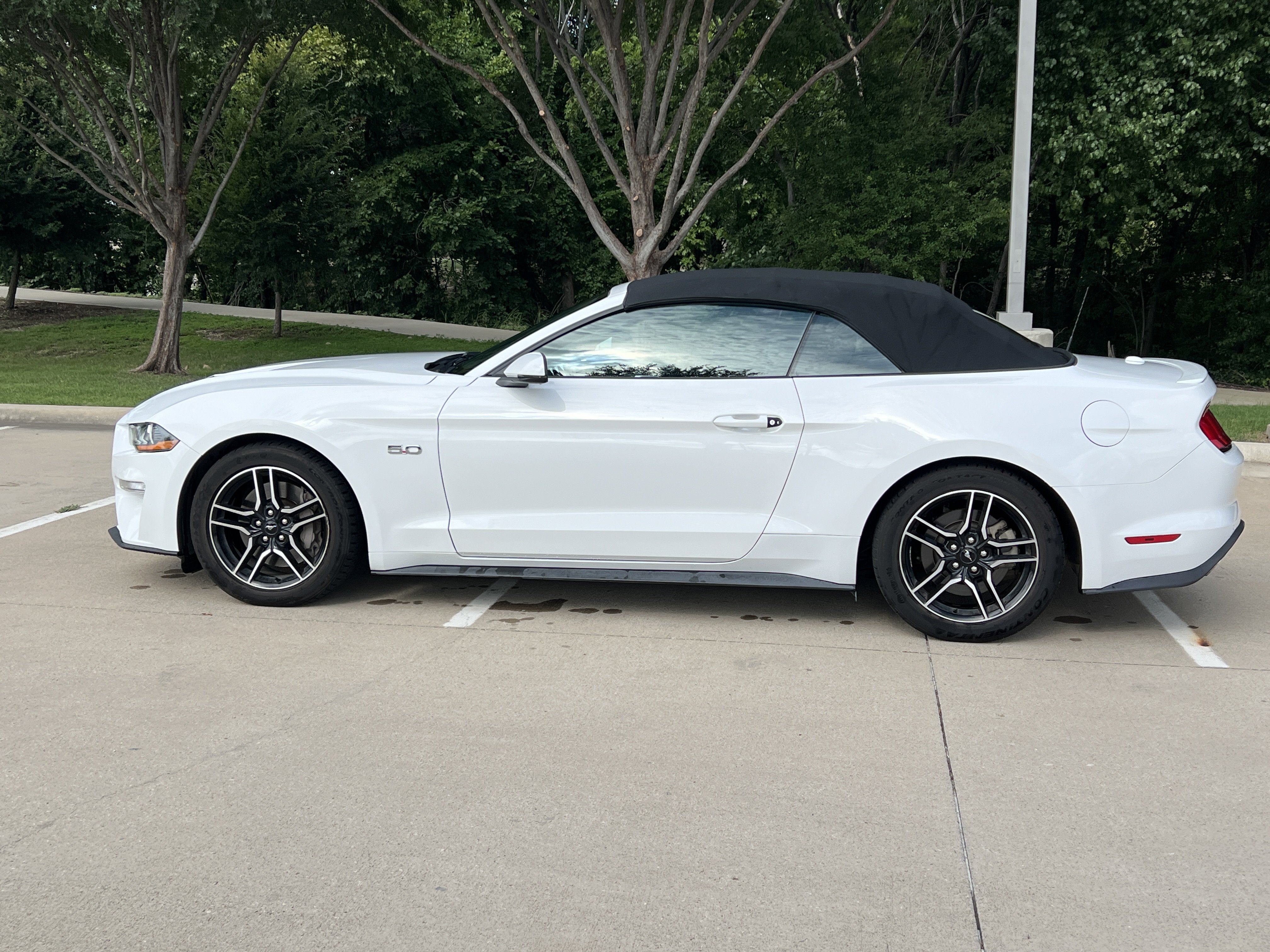 Used 2019 Ford Mustang GT Premium RWD image 6