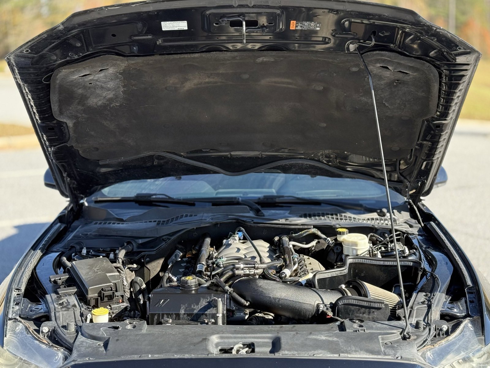 Used 2016 Ford Mustang GT w/ Interior & Wheel Package image 44