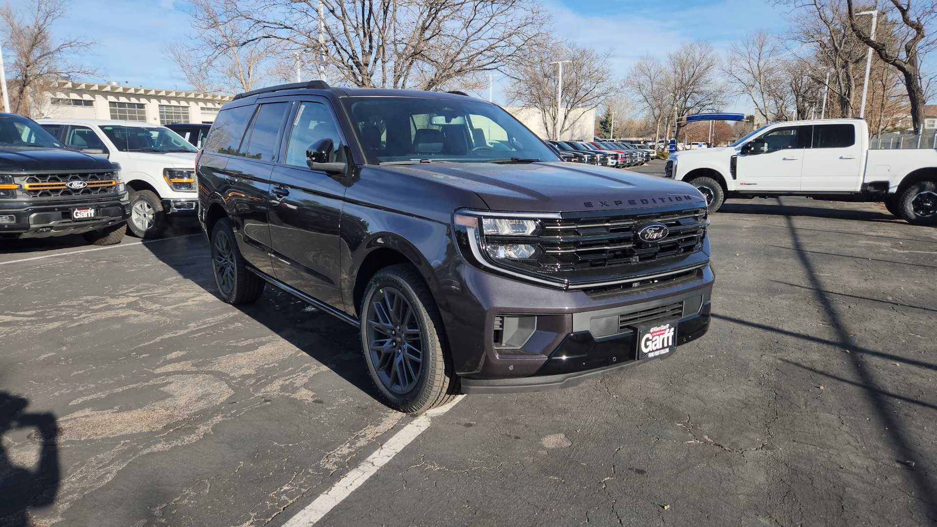 New 2025 Ford Expedition Platinum w/ Stealth Performance Package image 20