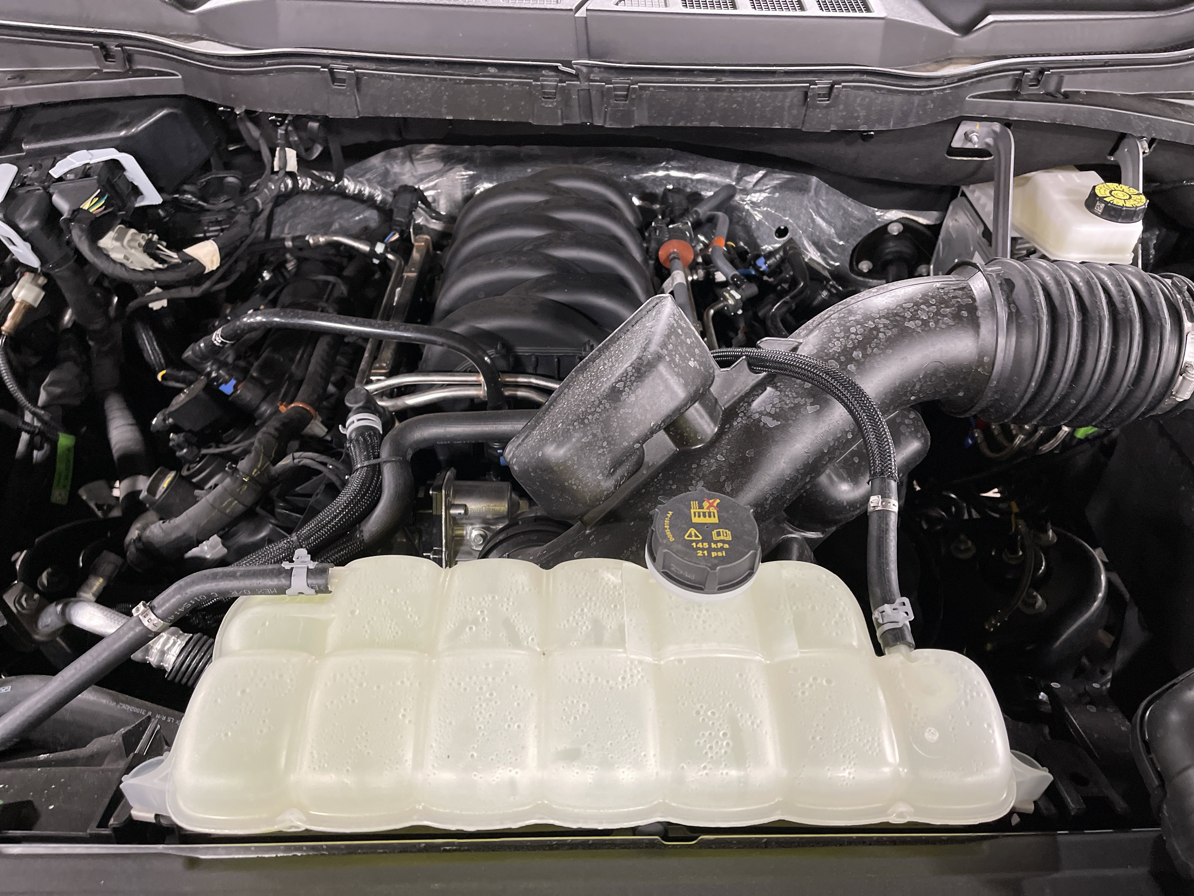 Used 2025 Ford F150 XLT w/ Equipment Group 301A Standard image 17