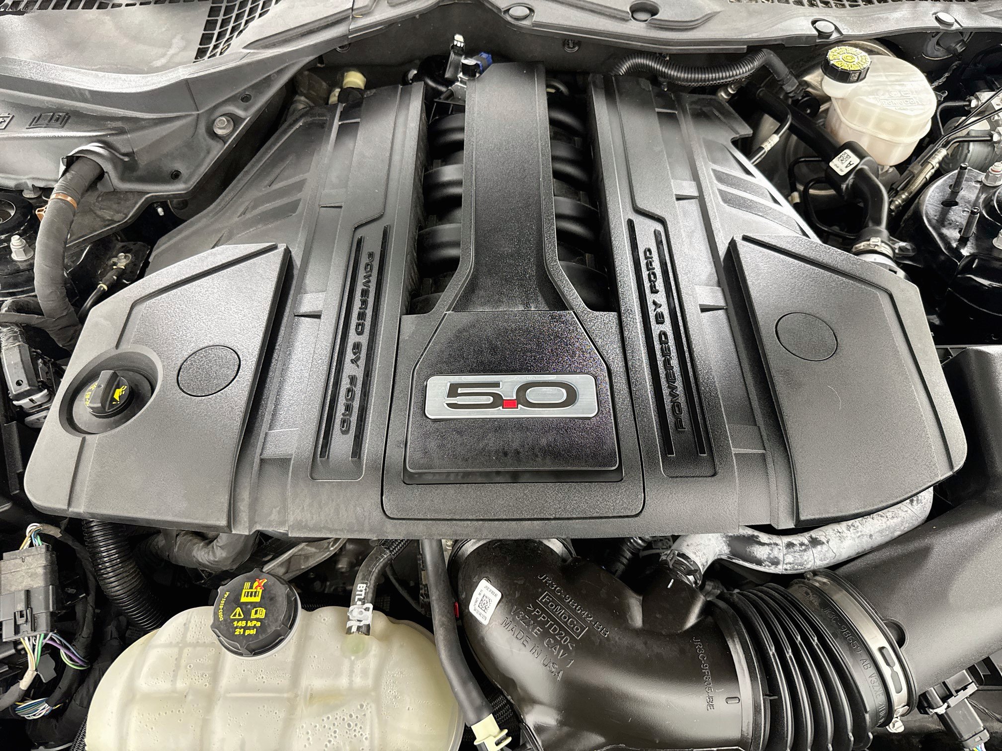 Used 2021 Ford Mustang GT w/ Equipment Group 301A RWD image 33