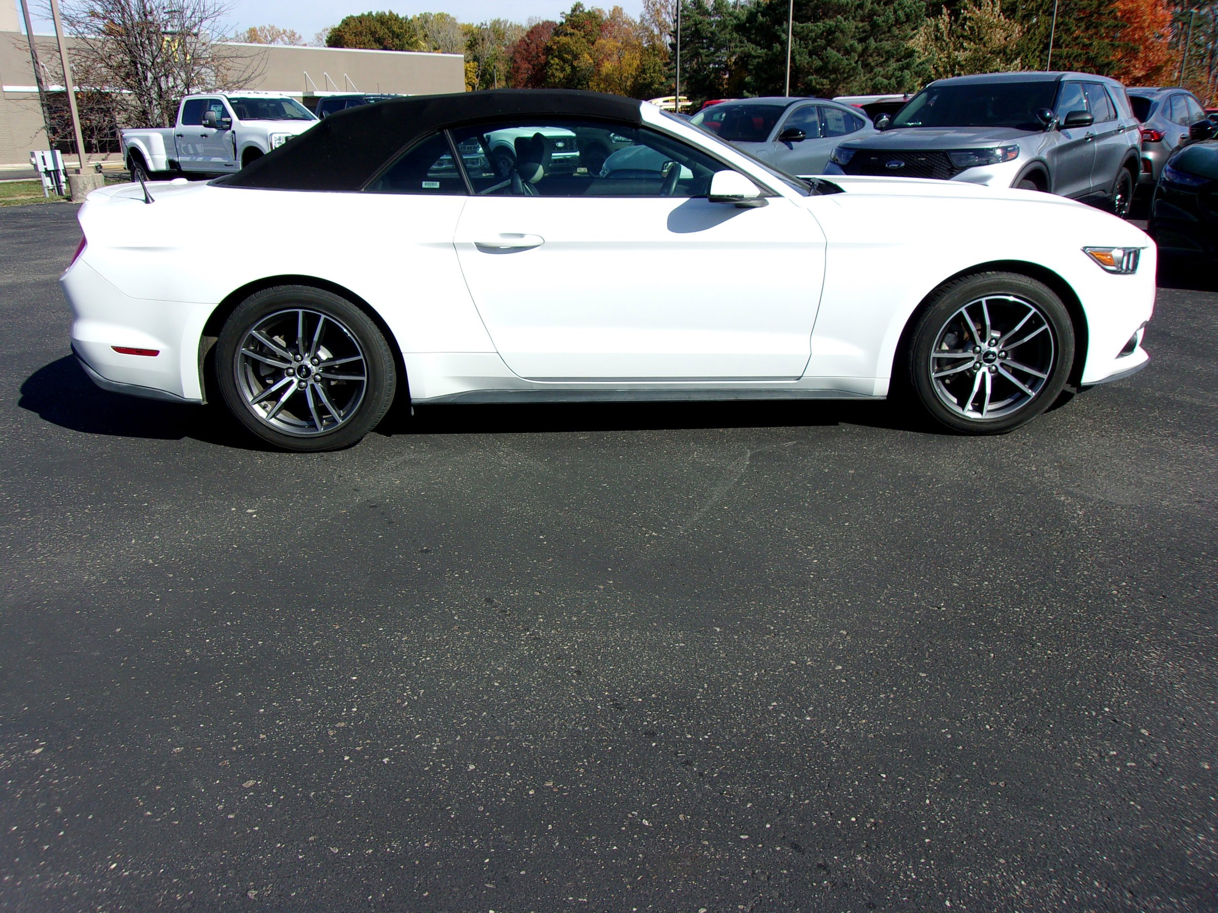 Used 2017 Ford Mustang Premium RWD image 7