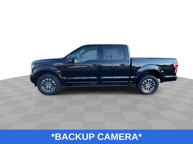 Used 2019 Ford F150 XLT w/ Equipment Group 302A Luxury AWD/4WD image 6