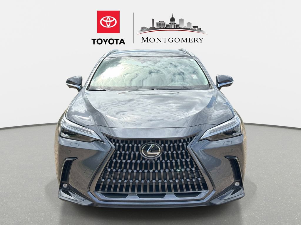Used 2025 Lexus NX 350h AWD w/ Accessory Package (2T) image 8