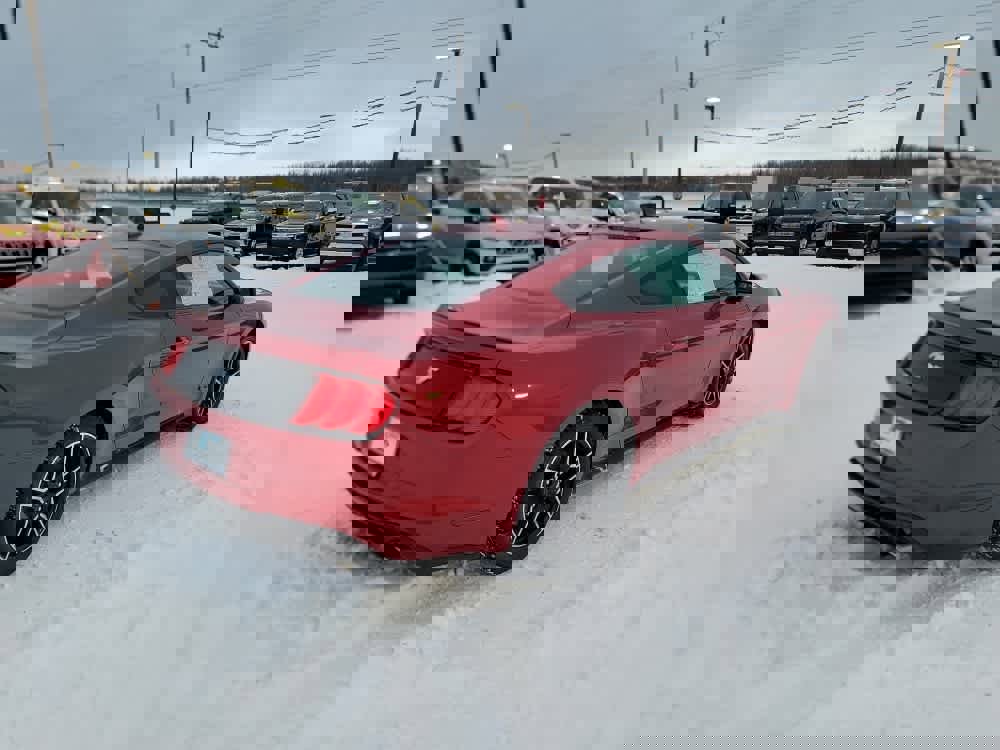 Used 2020 Ford Mustang Coupe w/ Equipment Group 101A image 5