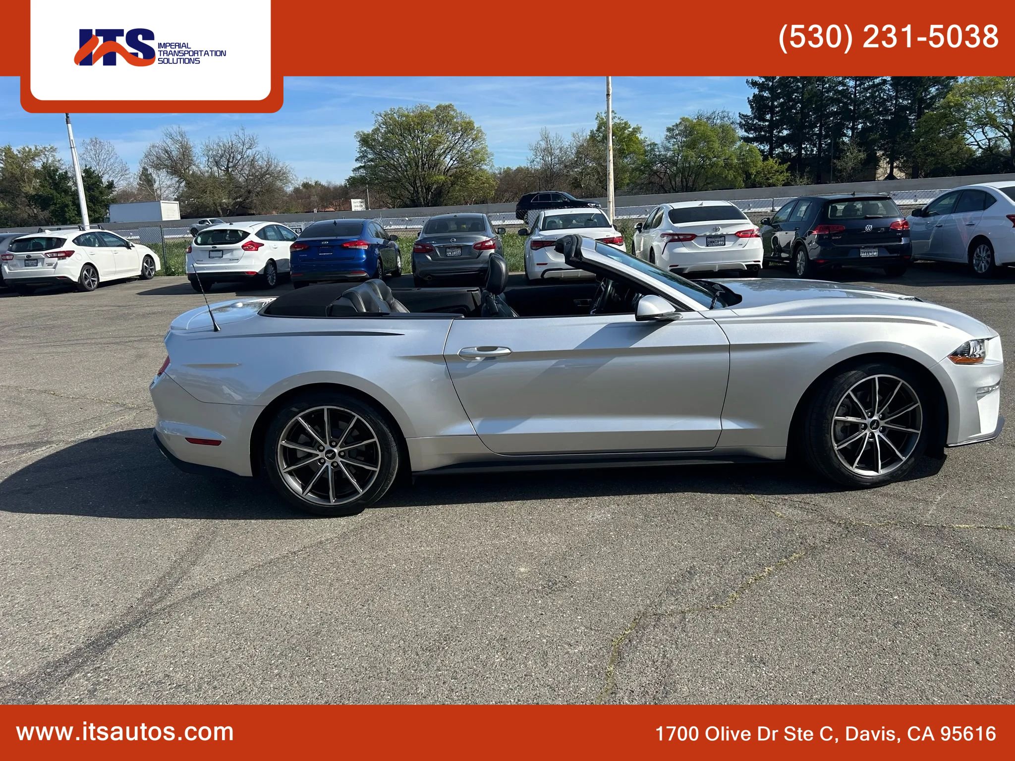 Used 2019 Ford Mustang Premium w/ Equipment Group 201A image 8