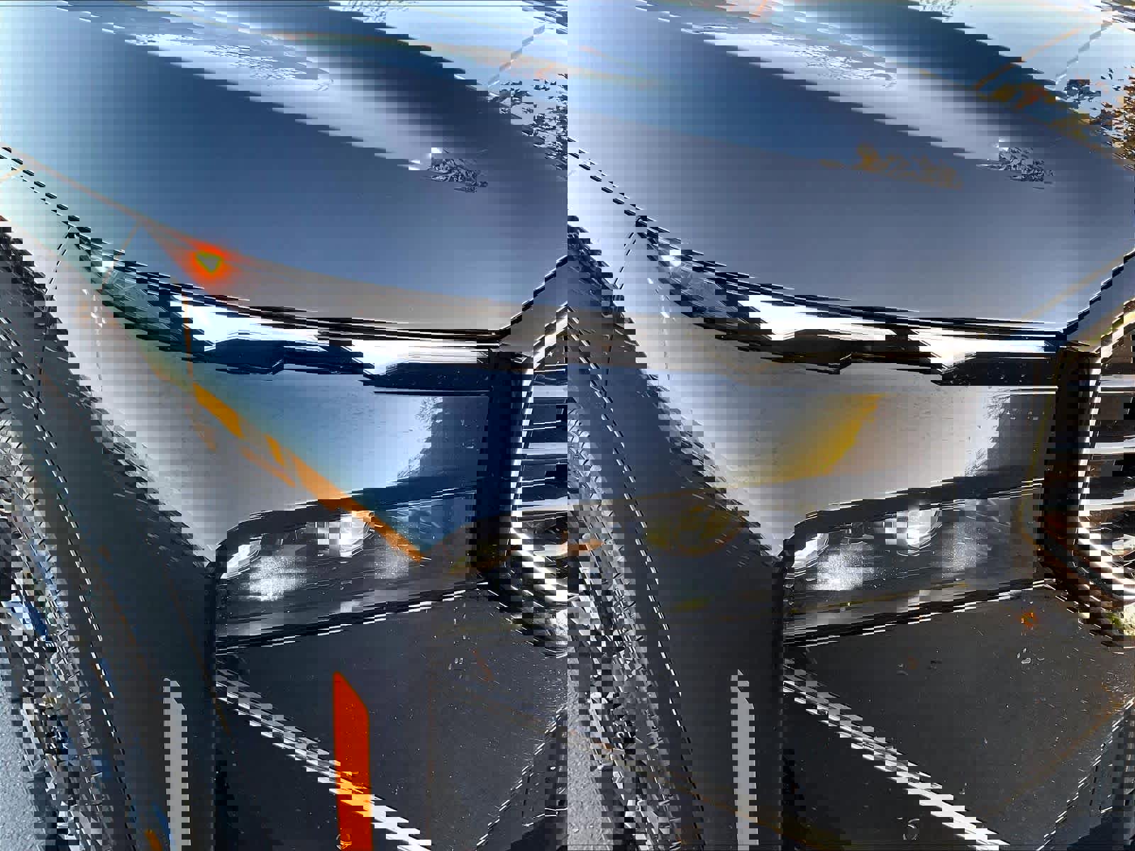 Used 2025 BMW XM image 29