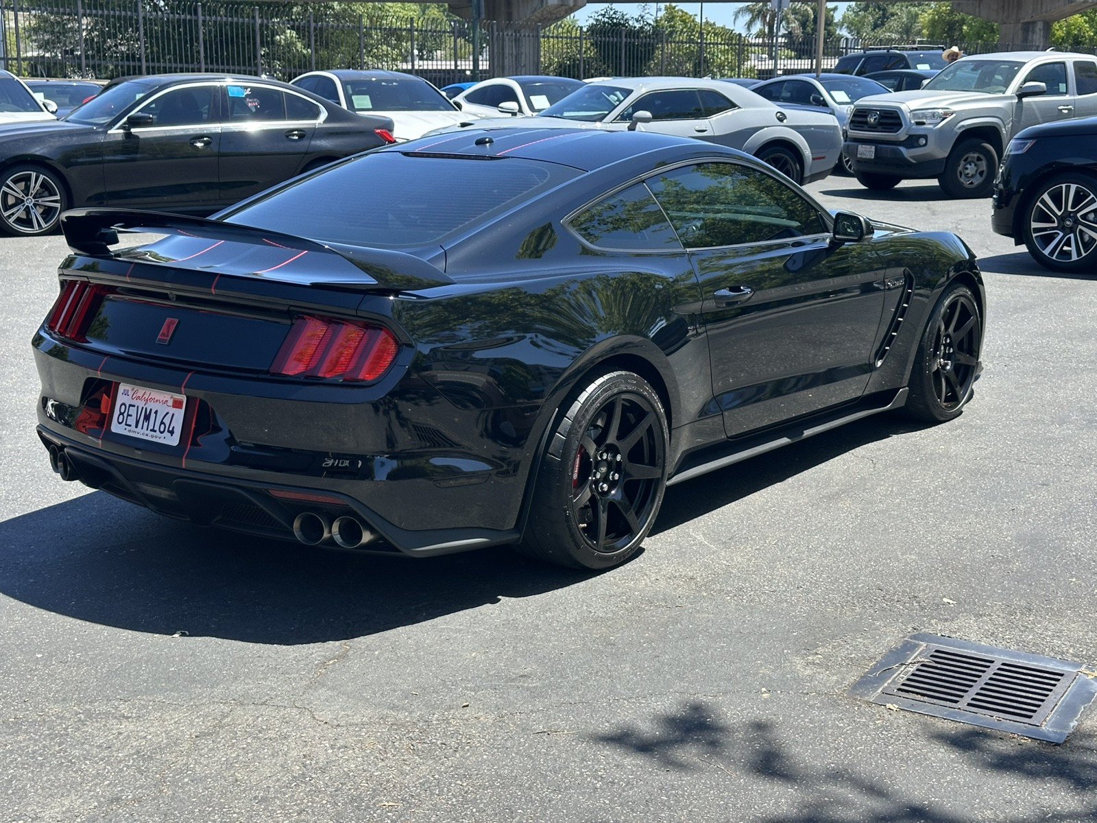 Used 2018 Ford Mustang Shelby GT350 RWD image 8