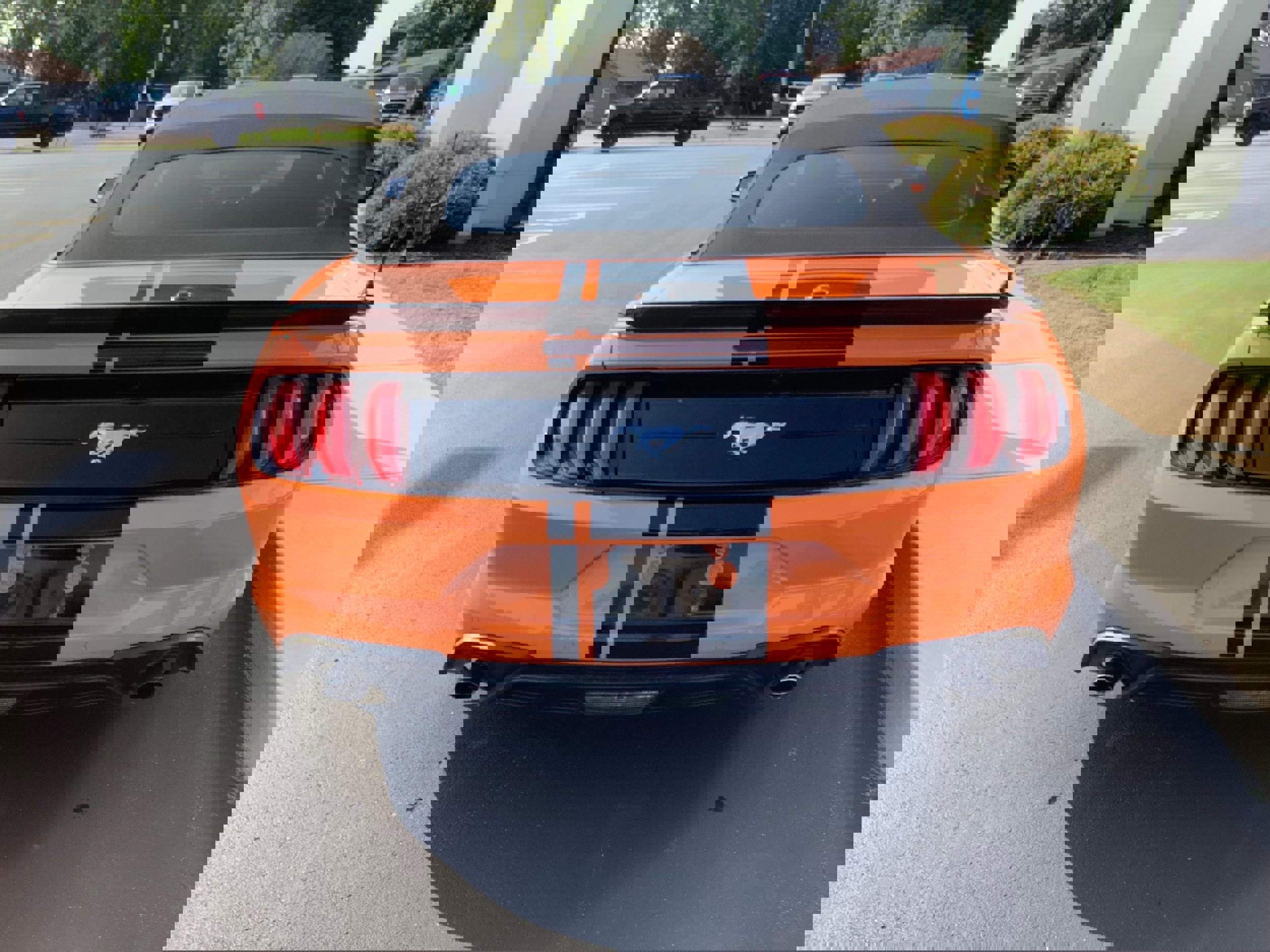 Used 2021 Ford Mustang Convertible w/ Equipment Group 101A image 9