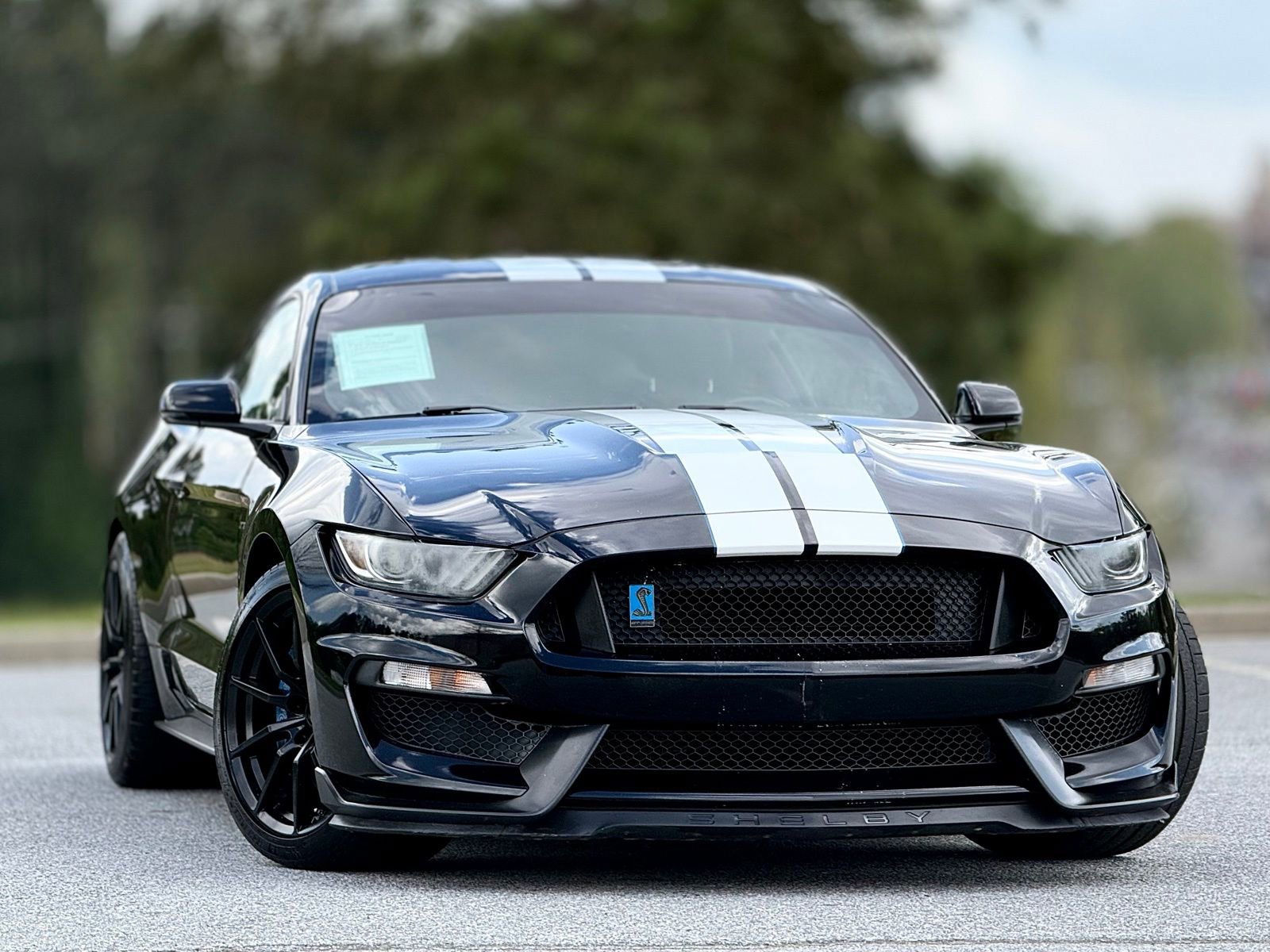 Used 2016 Ford Mustang Shelby GT350 w/ Technology Package image 4