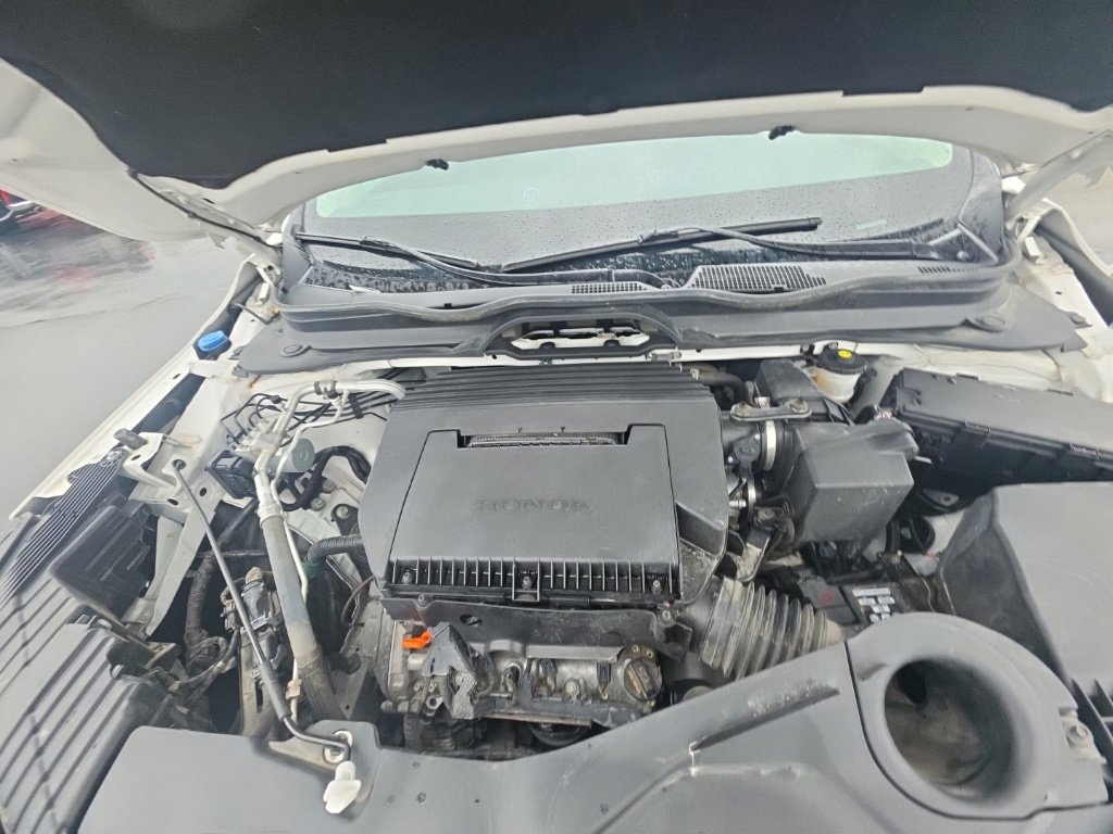 Certified 2023 Honda Pilot EX-L image 11