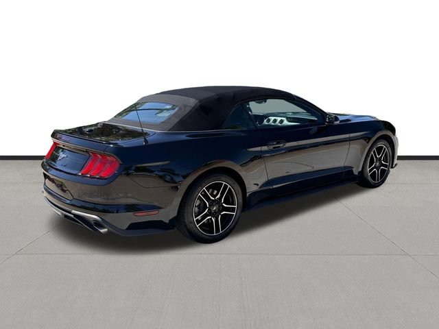 Used 2019 Ford Mustang Premium RWD image 5