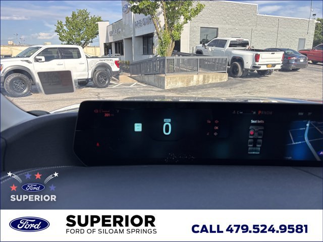 Used 2025 Ford Expedition Platinum AWD/4WD image 19