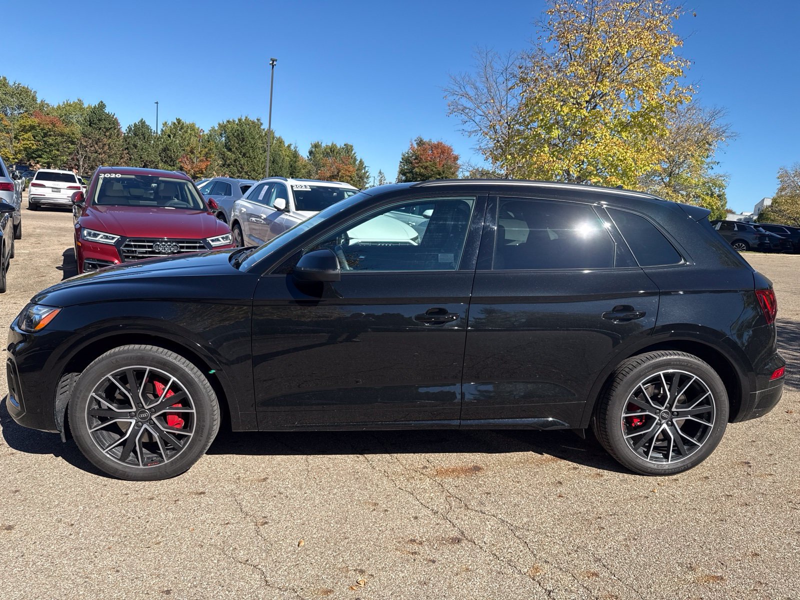 Used 2024 Audi SQ5 Premium Plus AWD/4WD image 2