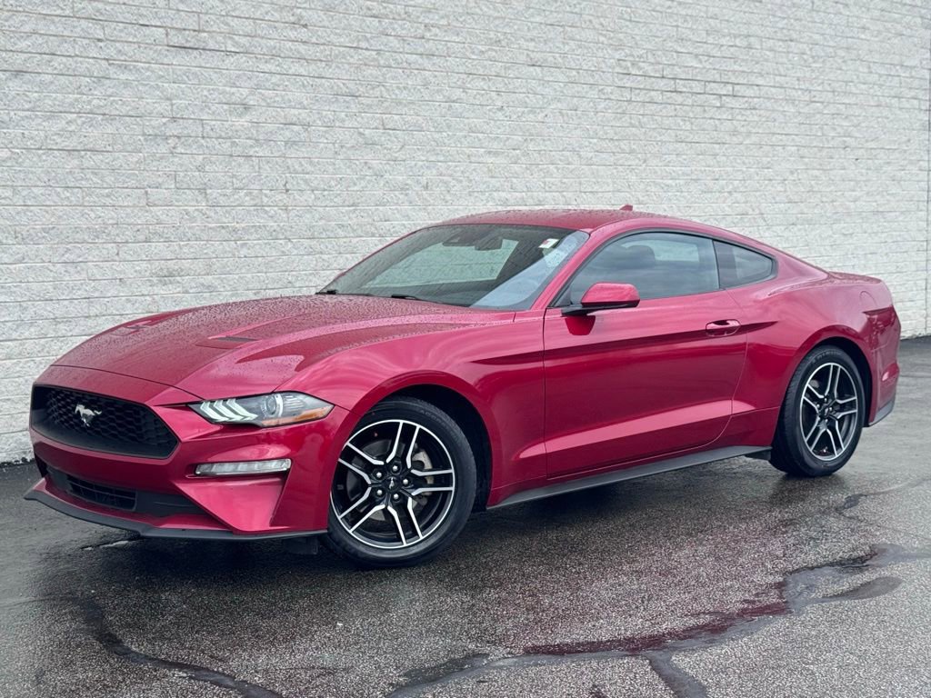 Certified 2021 Ford Mustang EcoBoost w/ Equipment Group 101A image 2