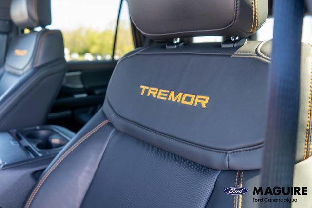 Used 2025 Ford Expedition Tremor AWD/4WD image 21