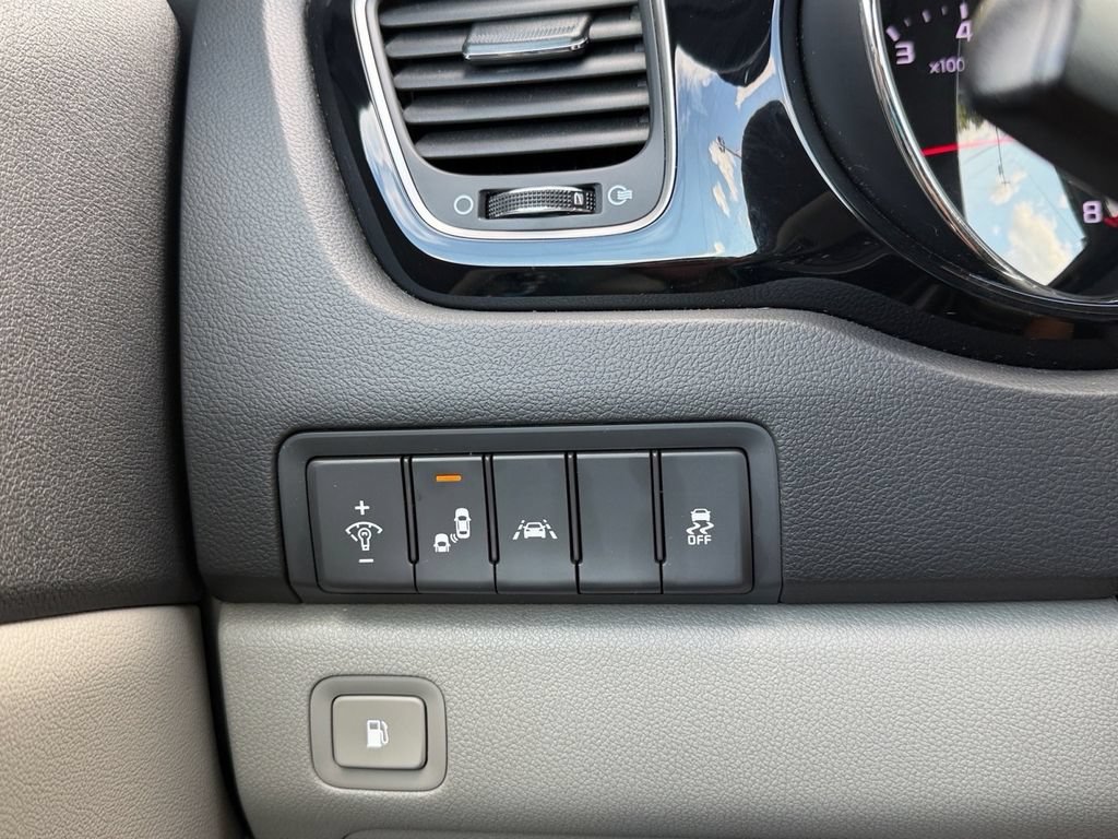 Used 2017 Kia Sedona EX FWD image 24