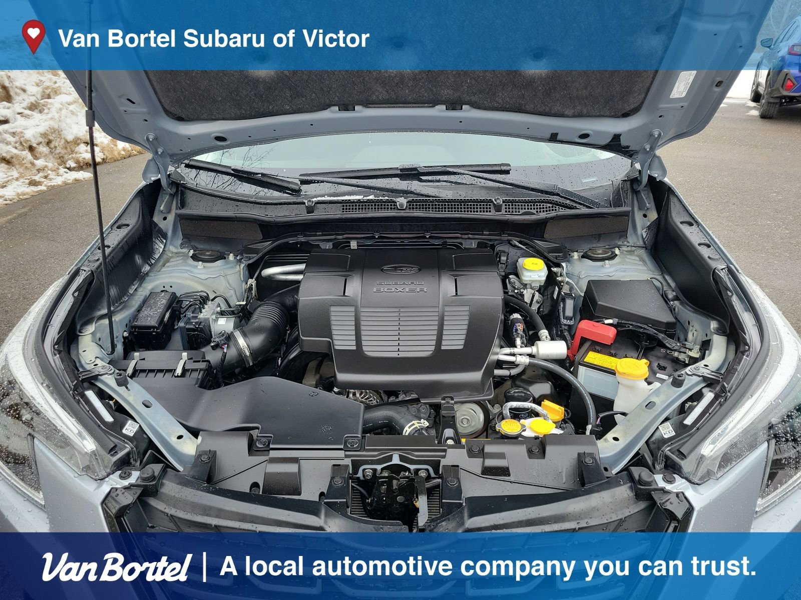 Certified 2024 Subaru Forester Premium image 11