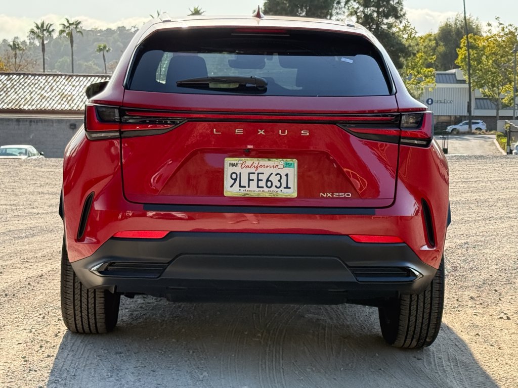 Certified 2024 Lexus NX 250 FWD w/ Cold Area Package image 4