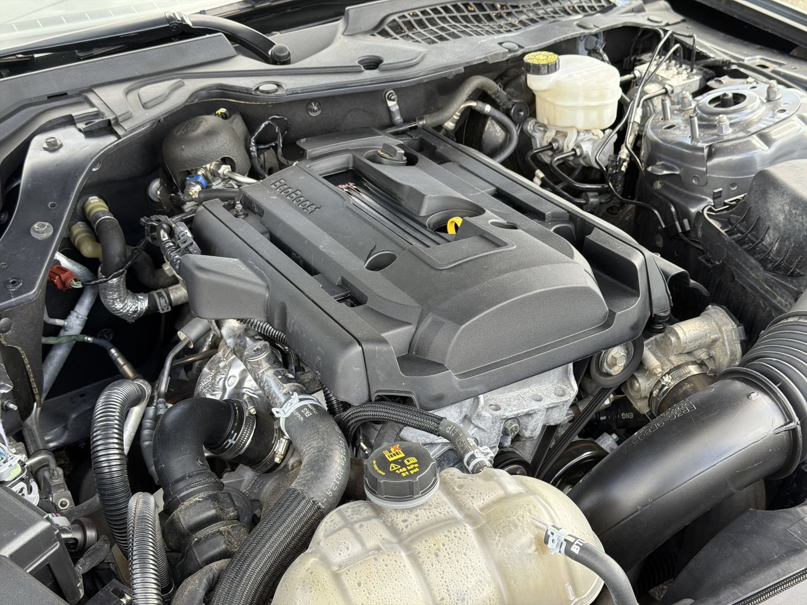 Certified 2022 Ford Mustang Premium w/ Equipment Group 201A RWD image 20