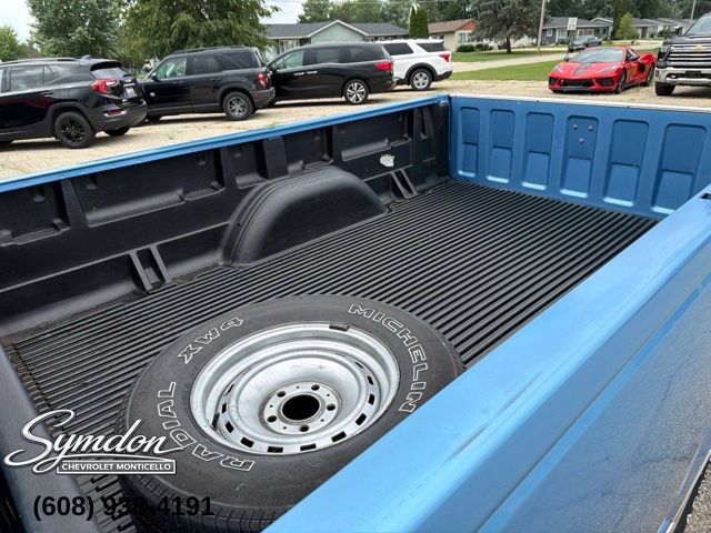 Used 1996 Chevrolet Silverado 1500 2WD Regular Cab image 16