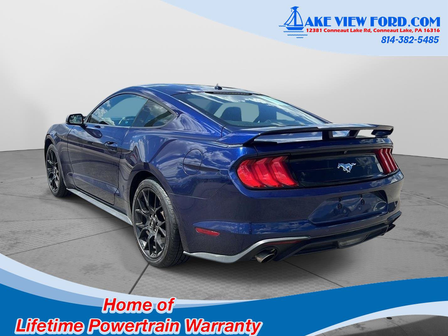 Used 2018 Ford Mustang Premium w/ Ecoboost Performance Package RWD image 6