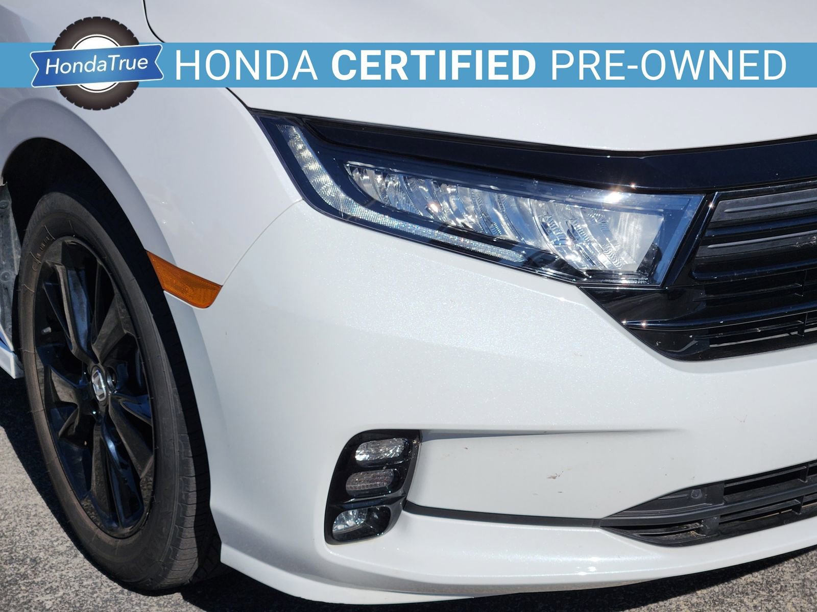 Certified 2024 Honda Odyssey Sport image 10