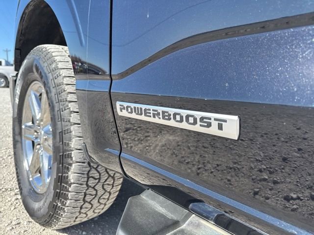 Used 2025 Ford F150 XLT w/ Equipment Group 301A Standard image 9