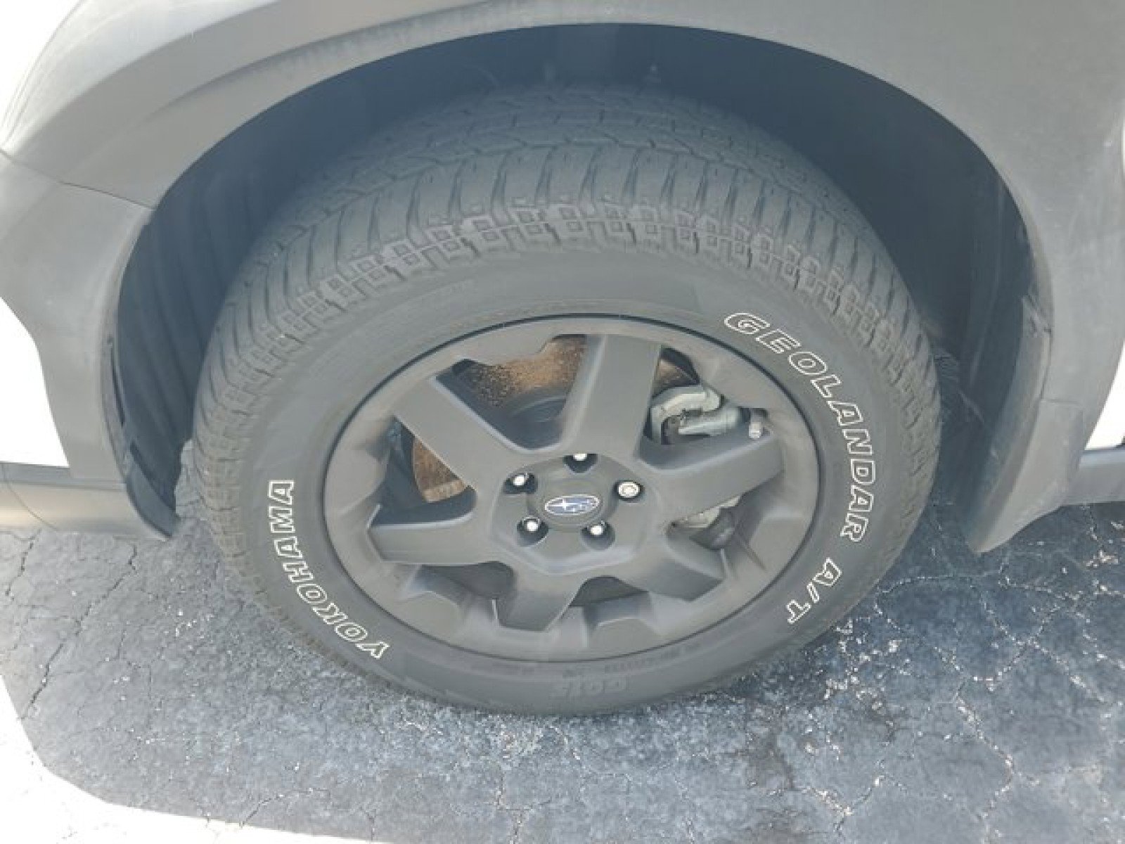 Used 2024 Subaru Outback Wilderness AWD/4WD image 4