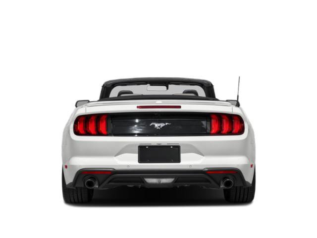 Used 2022 Ford Mustang Premium w/ Equipment Group 201A RWD image 5