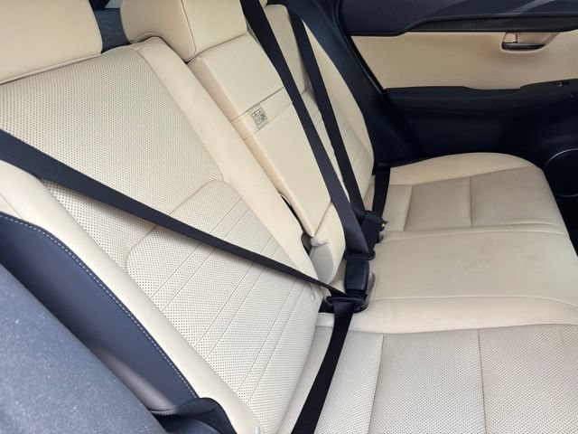 Used 2019 Lexus NX 300h AWD w/ Comfort Package image 11