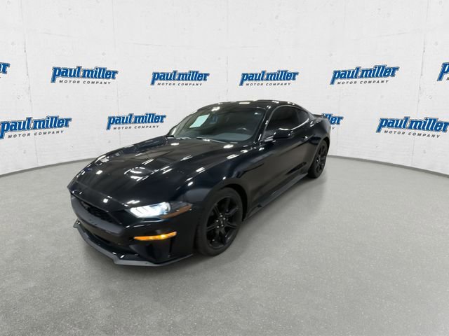 Used 2019 Ford Mustang EcoBoost w/ Black Accent Package image 5