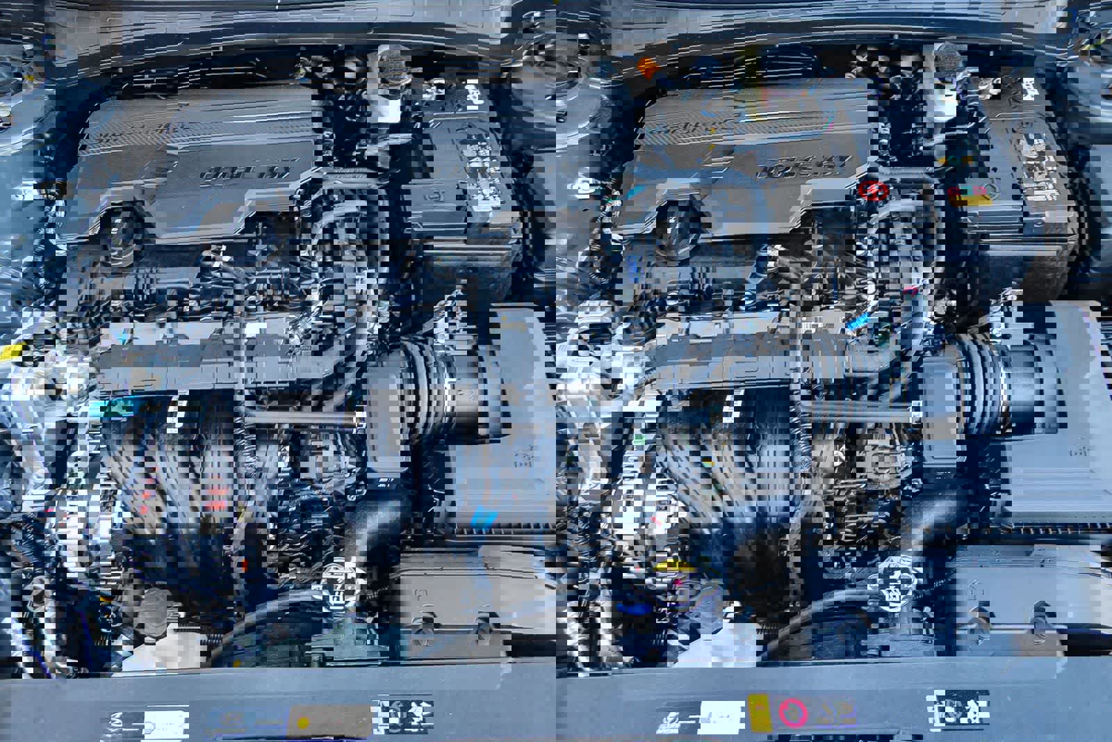 New 2025 Hyundai Elantra Sport image 13