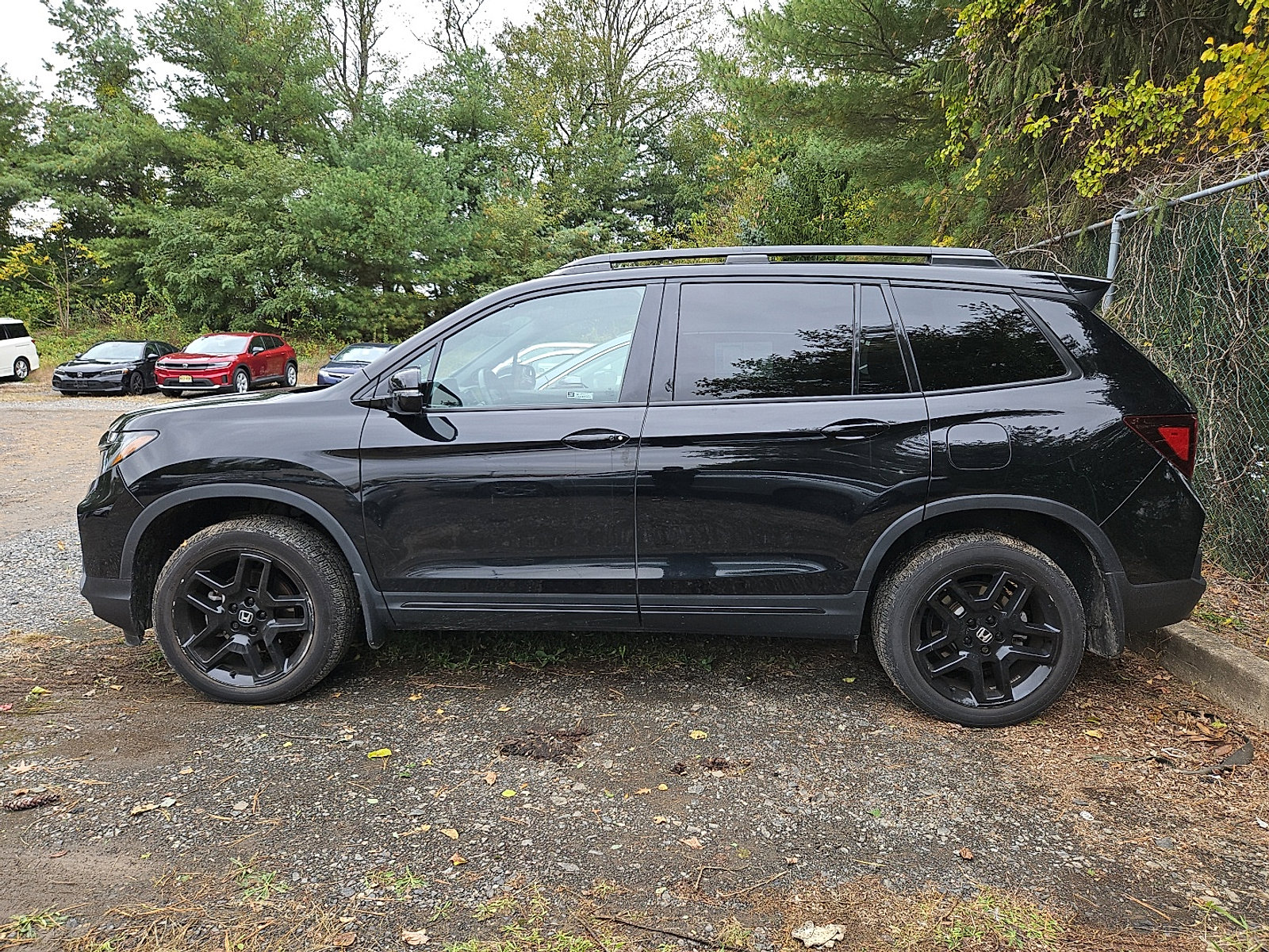 Used 2024 Honda Passport Black Edition image 5