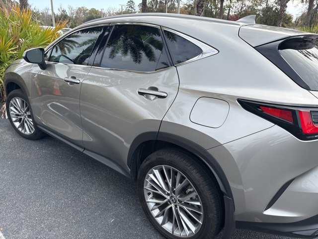 Certified 2025 Lexus NX 350h AWD w/ Premium Package image 3