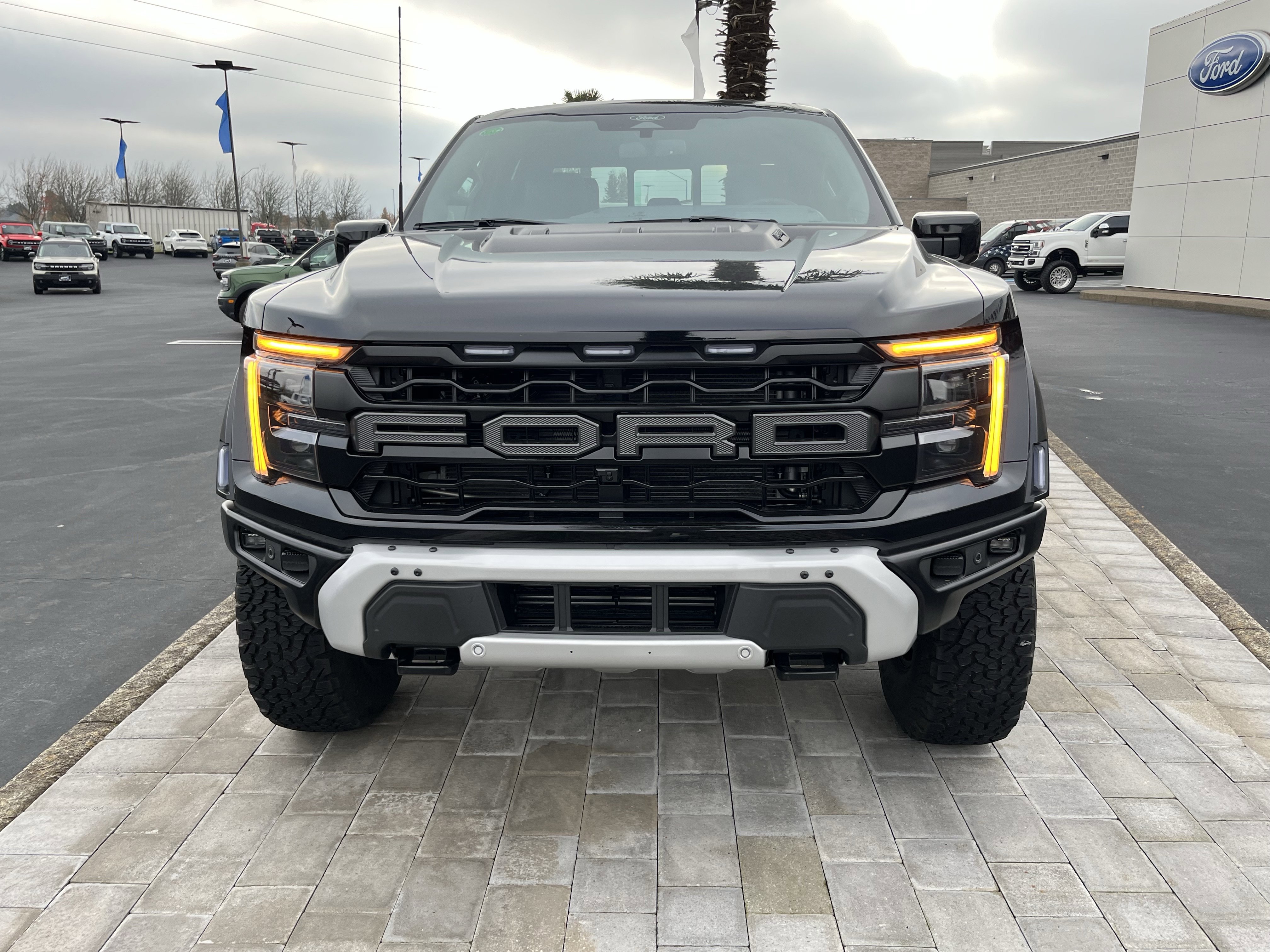 New 2025 Ford F150 Raptor image 8