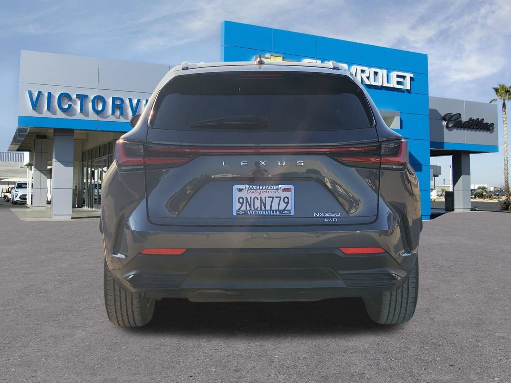 Used 2025 Lexus NX 250 AWD w/ Cold Area Package image 5