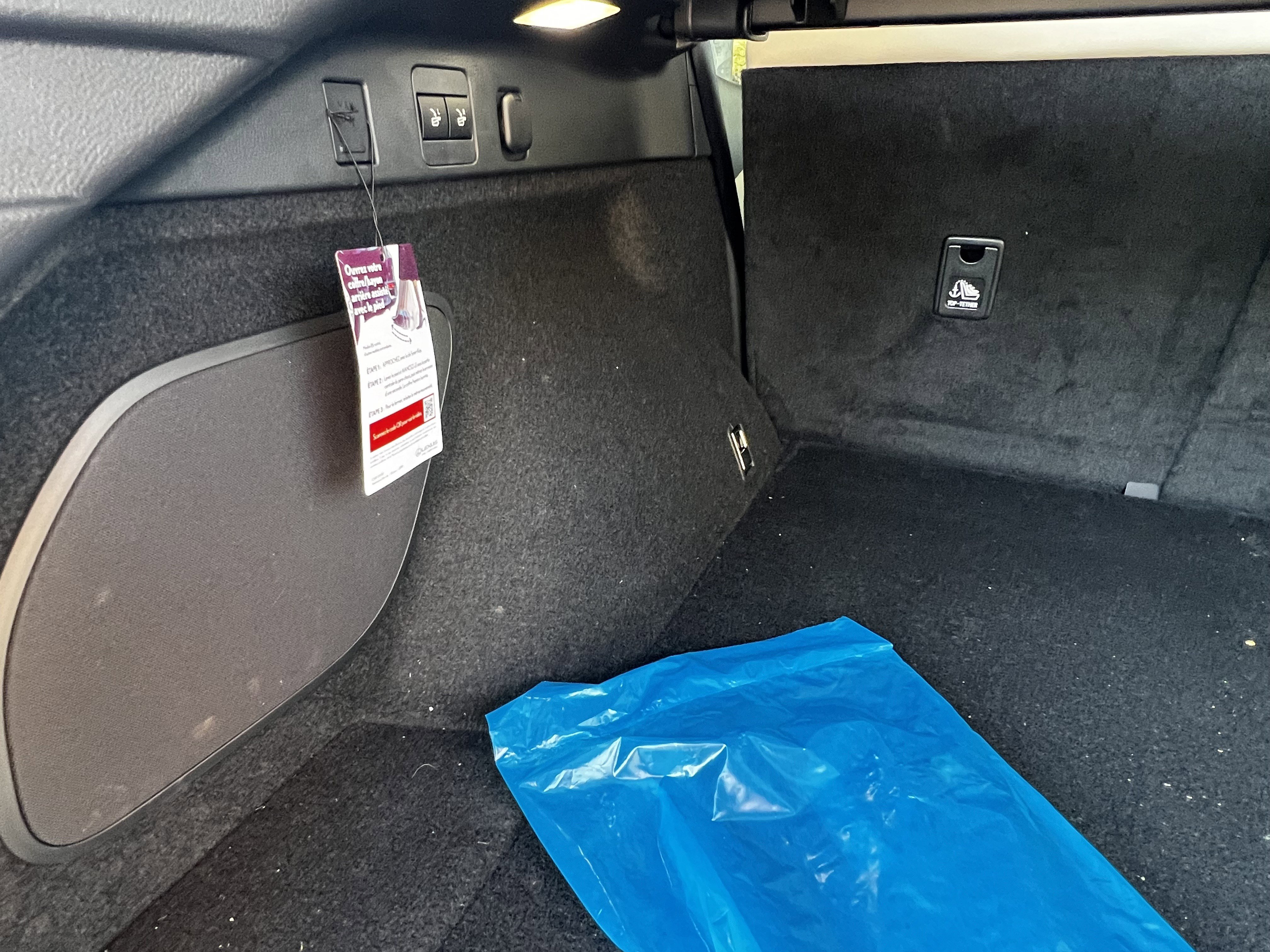 Used 2025 Lexus RX 350 Premium Plus image 49