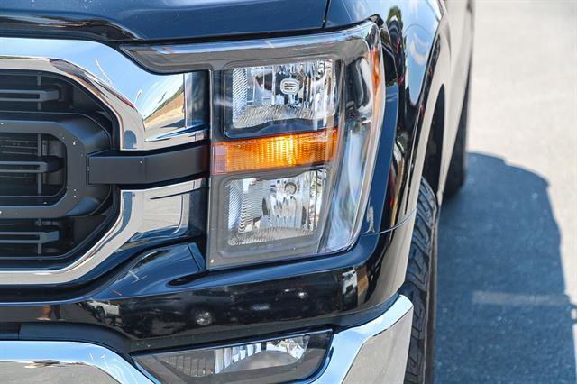 Used 2023 Ford F150 XLT image 7