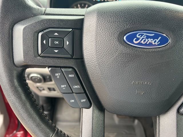 Used 2019 Ford F150 XLT w/ Equipment Group 302A Luxury image 19