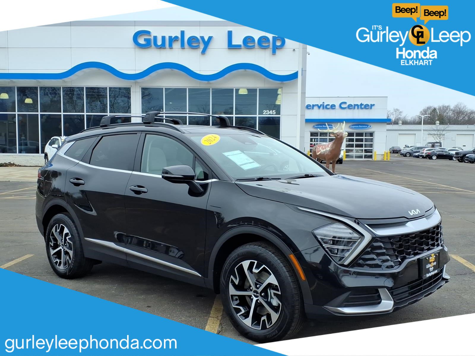 Used 2024 Kia Sportage EX w/ EX Premium Package image 1