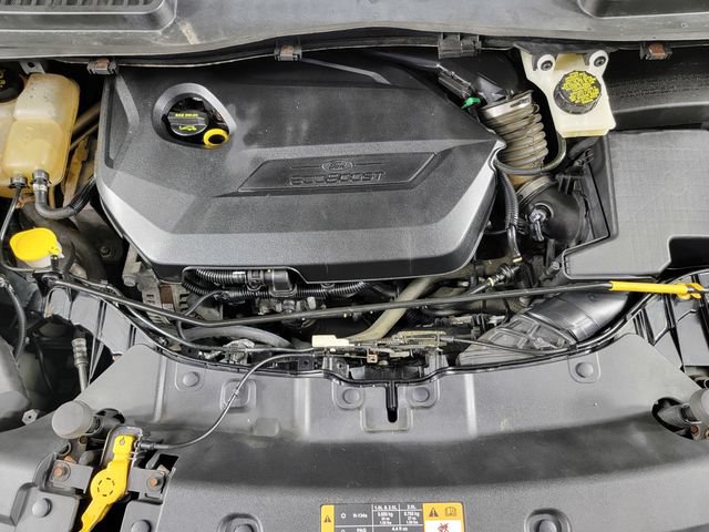 Used 2014 Ford Escape SE FWD image 35