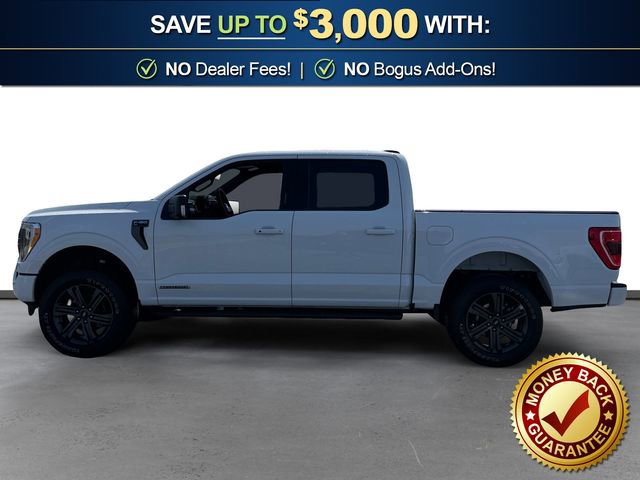 Used 2023 Ford F150 XLT w/ Equipment Group 302A High AWD/4WD image 2