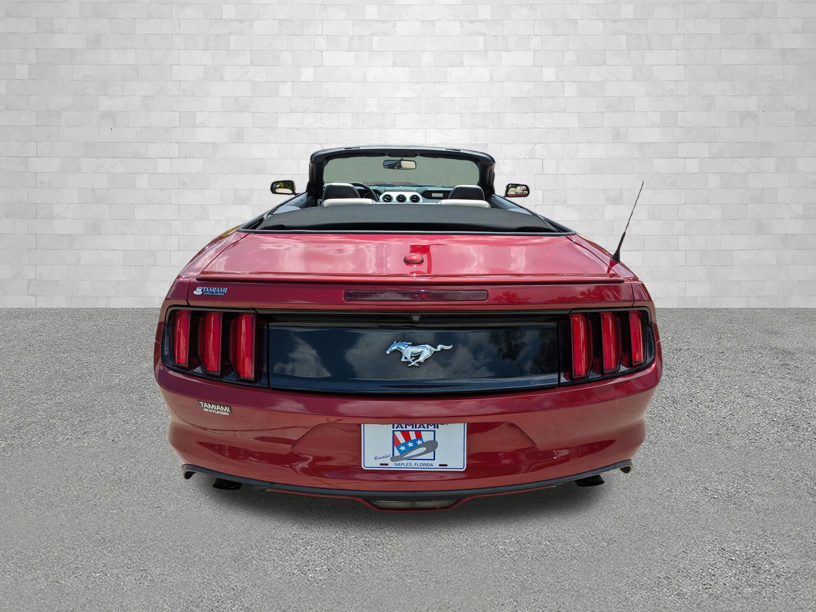 Used 2017 Ford Mustang Premium RWD image 3