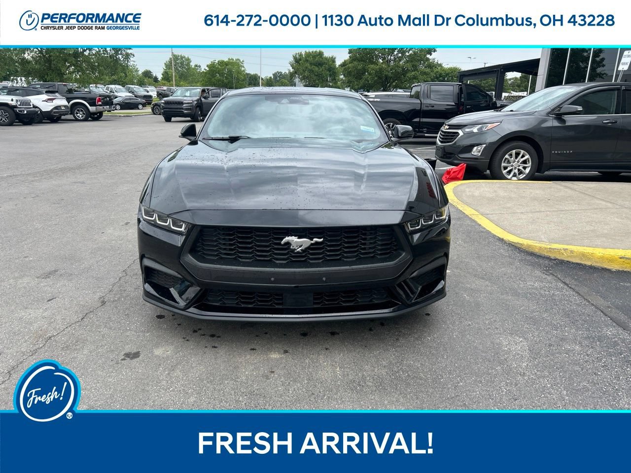 Used 2024 Ford Mustang Coupe RWD image 9